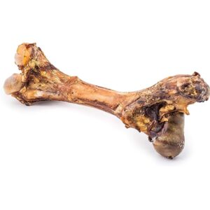 Dehydrated Buffalo Bone Large