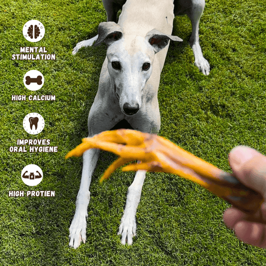 Dehydrated Chicken Feet